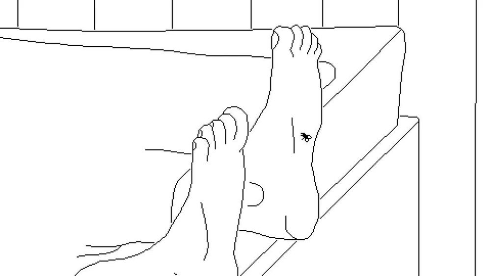 a screenshot of a fly on a person's foot from time flies