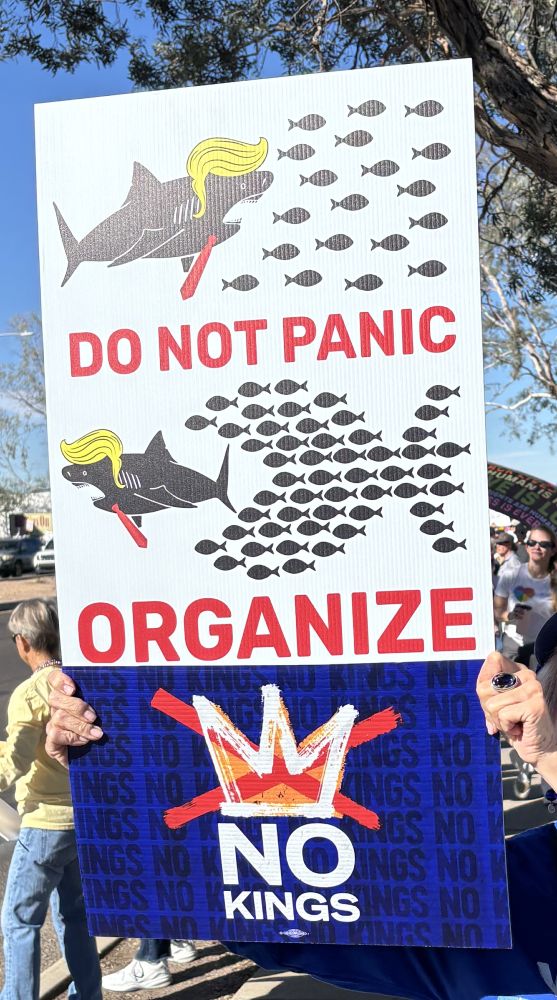 "Do Not Panic, Organize" sign at Tucson, AZ, No Kings protest October 18.