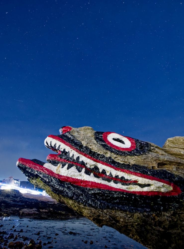 Crocodile painted Rock Millport  against a starry sky