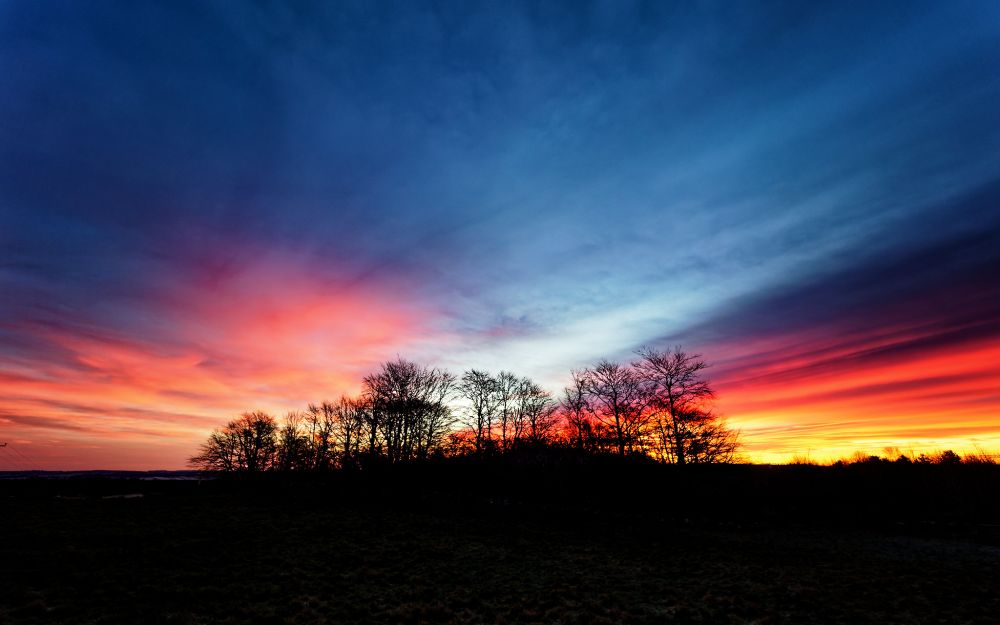 A fiery winter sunrise behind a silhouetted stand of beech trees .
Olympus E-M1MarkII
OLYMPUS M.7-14mm F2.8
@ƒ/2.8 7.0 mm 1/100s ISO200