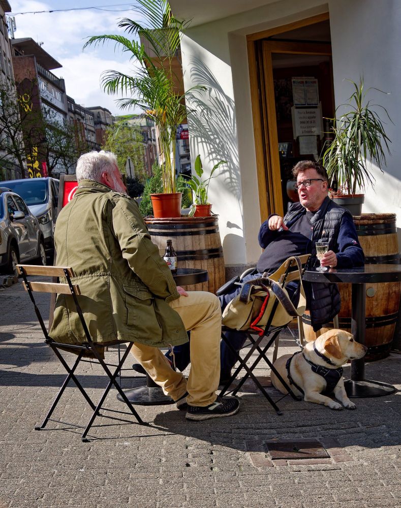 Photo of two gentlemen in discussion, seated at a small table outside a café, with a golden labrador lying at their feet

OM-1, Olympus 12-100mm f/4 lens
@17mm f/4 1/1600s ISO200