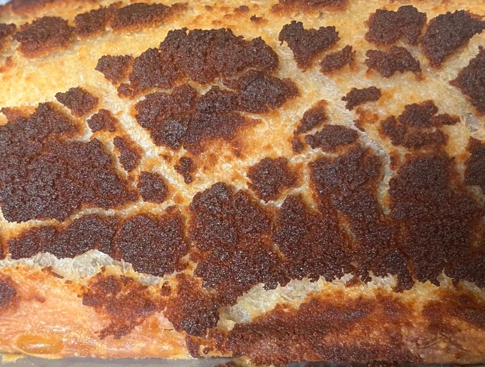 Tiger loaf. The crust is a cunt to get right. First attempt and happy. 😊 