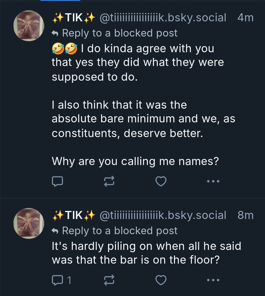 Screenshot of my post where I say "🤣🤣 I do kinda agree with you that yes they did what they were supposed to do. I also think that it was the absolute bare minimum and we, as constituents, deserve better. Why are you calling me names? "
The next post below, also mine, says "It's hardly piling on when all he said was that the bar is on the floor?"