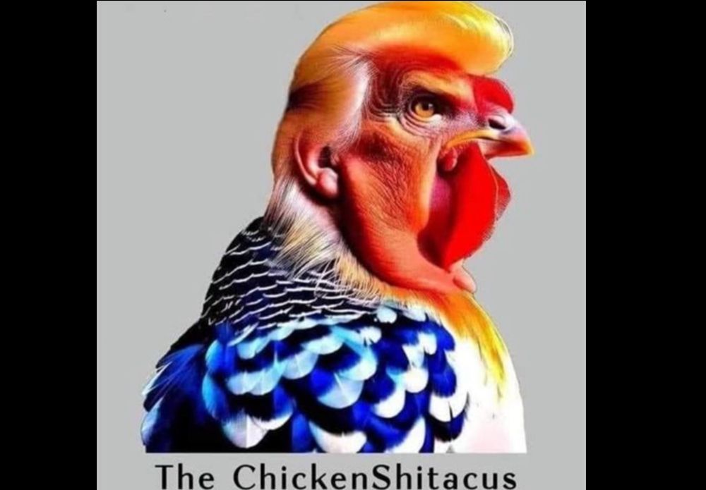 Comment image