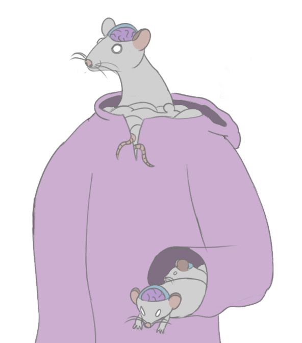 Cranium rats in a school robe