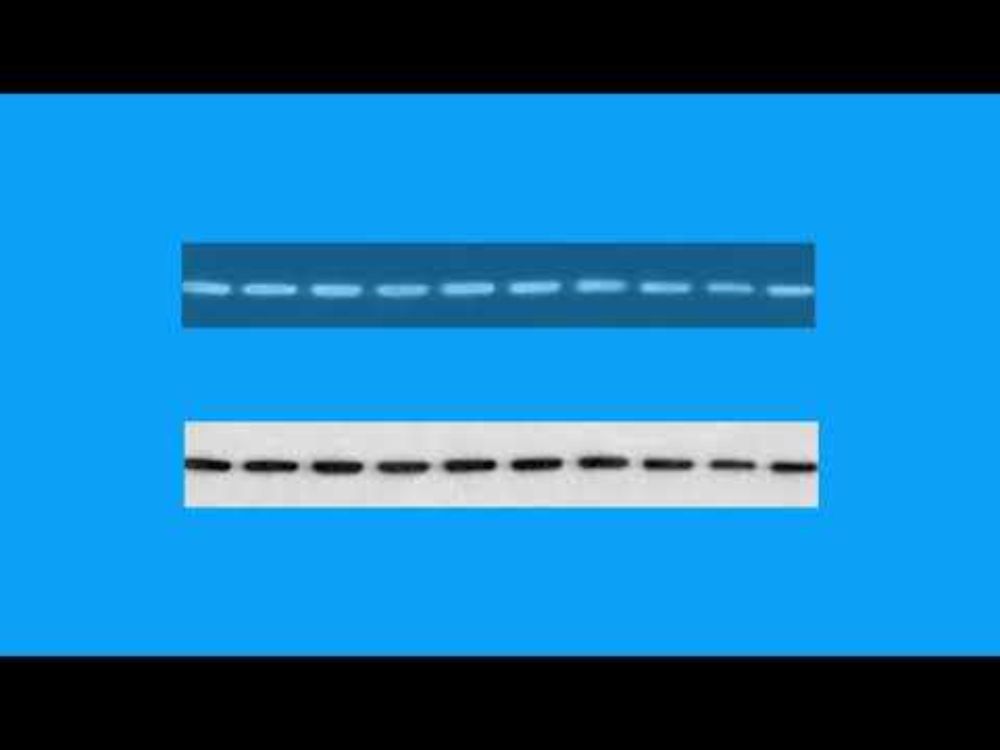 BB3E79E836EDCC9862160048AA15BA#1