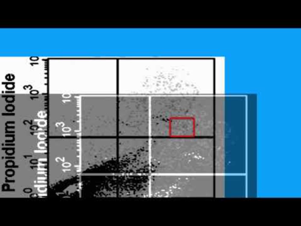 89B71D76895B12C54ED8270364B85E#1