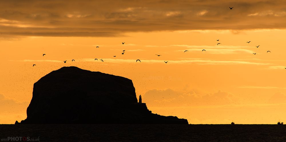 Delicious images of Edinburgh from Tom Duffin