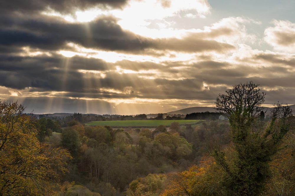 Delicious images of Edinburgh from Tom Duffin