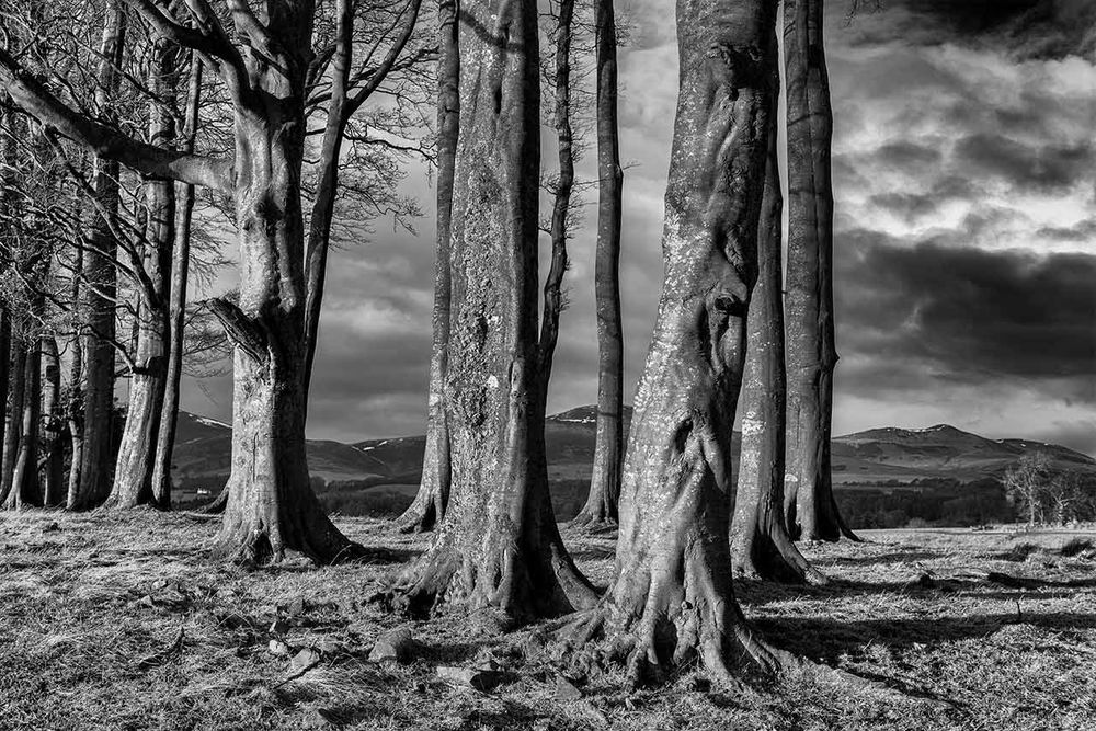 Delicious images of Edinburgh from Tom Duffin