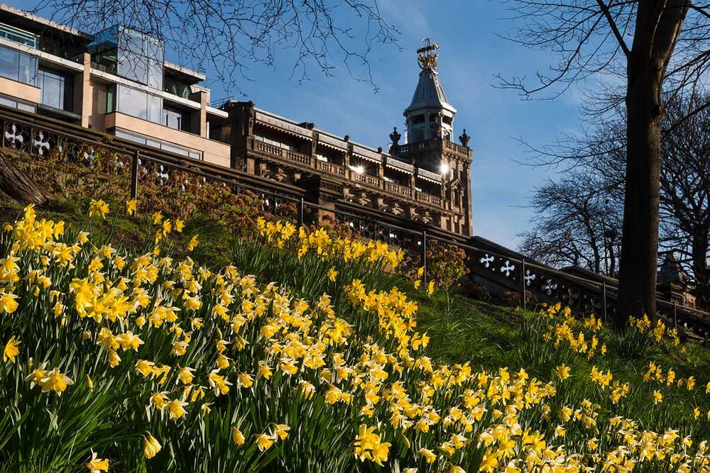 Delicious images of Edinburgh from Tom Duffin