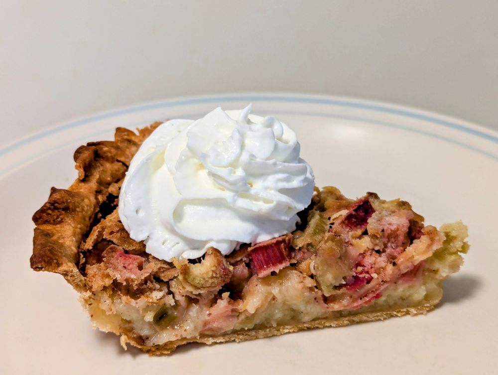 Rhubarb Custard pie 