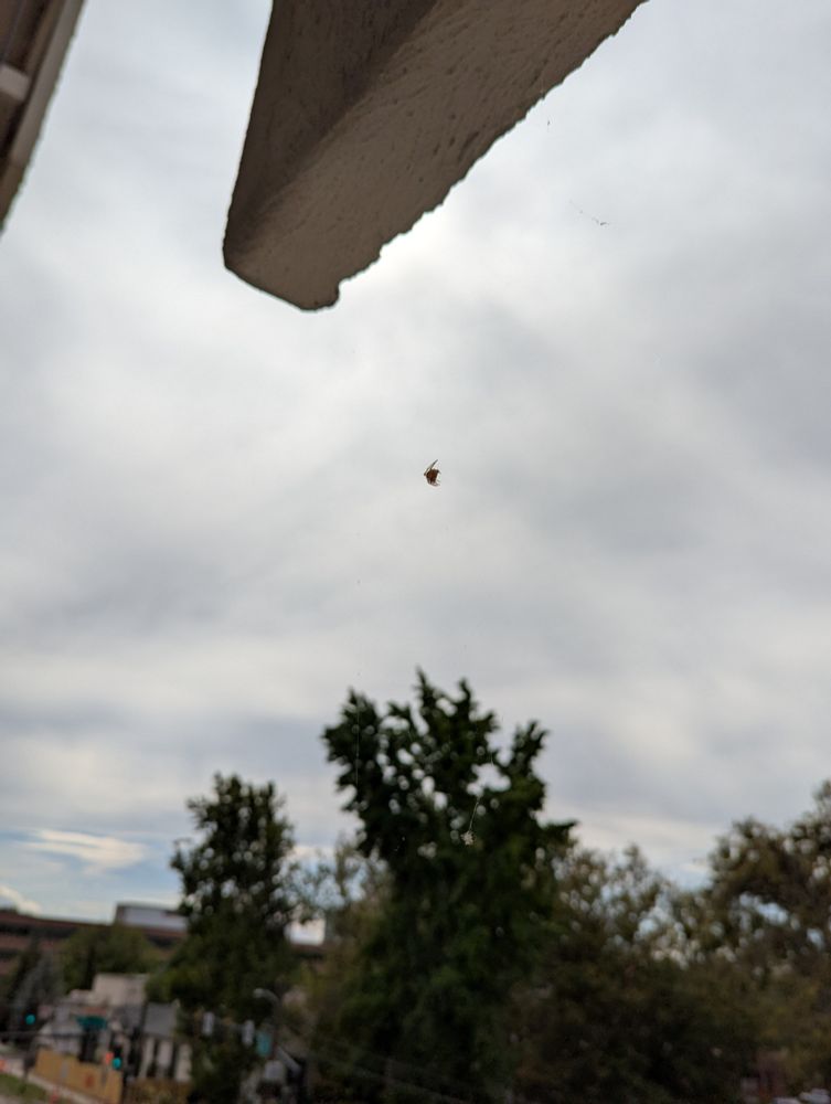 Grey cloudy sky with a cement balcony and a spider suspended below the balcony, up on 3rd floor.