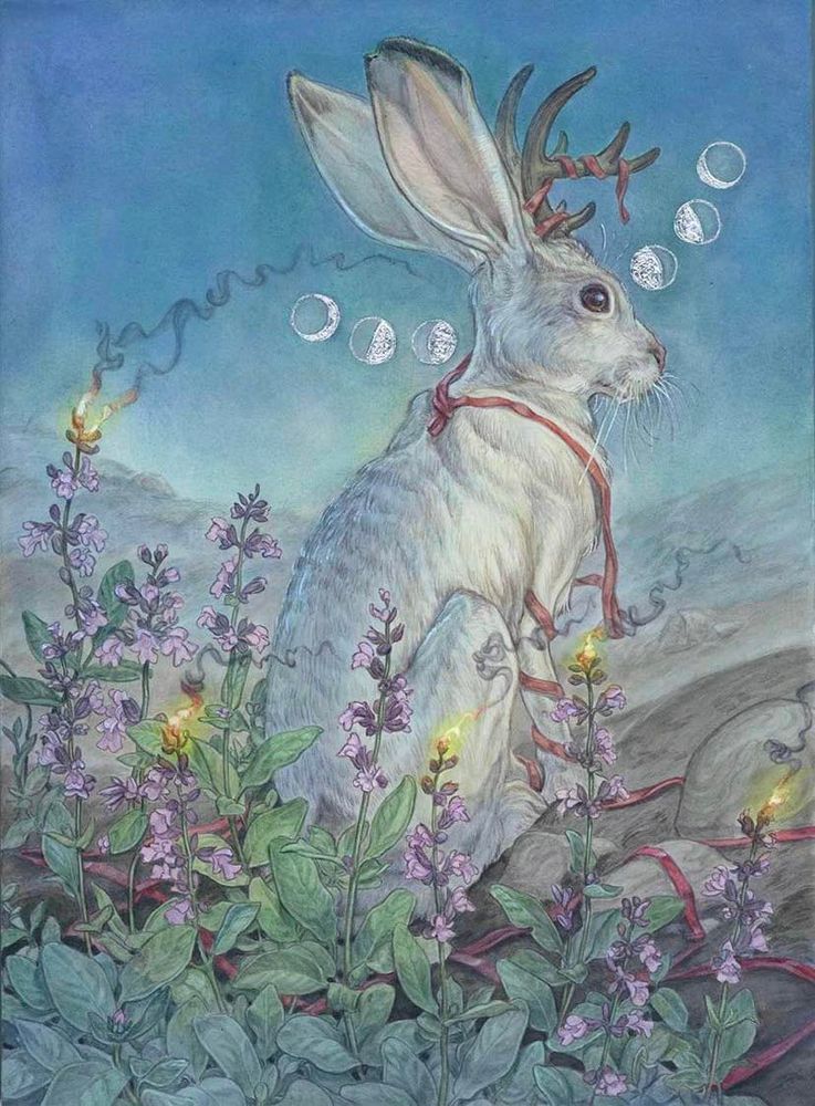 New years card
A painting of a jackalope being surrounded by burning sage.
For the zodiac year of the rabbit