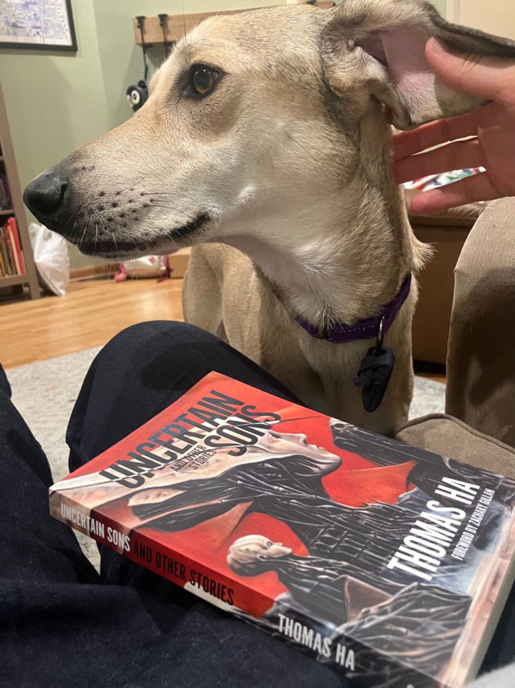 A good dog tries to distract from the newly arrived short story collection, Uncertain Sons by Thomas Ha.