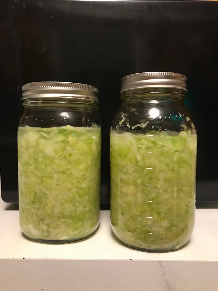 Freshly prepped sauerkraut. At this point, it’s just chopped cabbage in brine. It’s still very green.