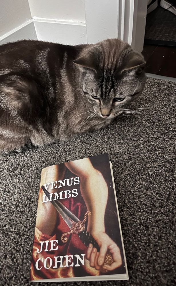 A cute cat name Grey with Venus Limbs by Jie Cohen 