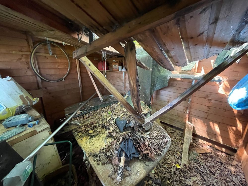 Photo of inside a dilapidated shed. Roof has caved in and there a leaves and debris all over the place. There is an old table in the middle. A cupboard and some tools hanging on the wall