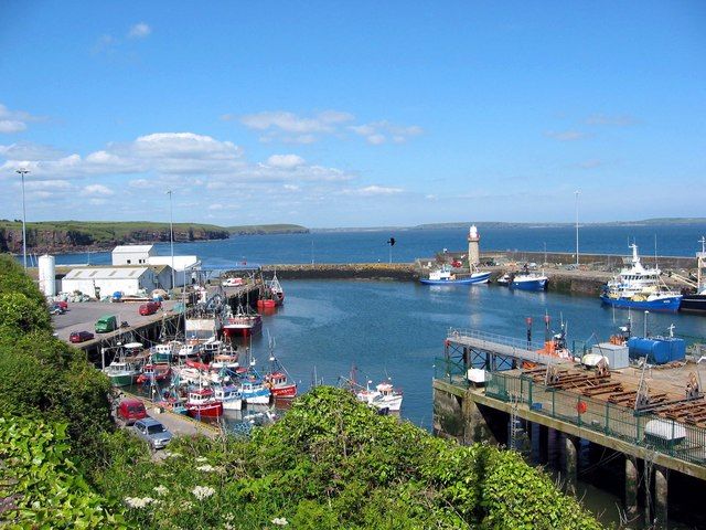 The harbour of Dunmore East, one of the Irish local sites where the BioProtect tools will be used.