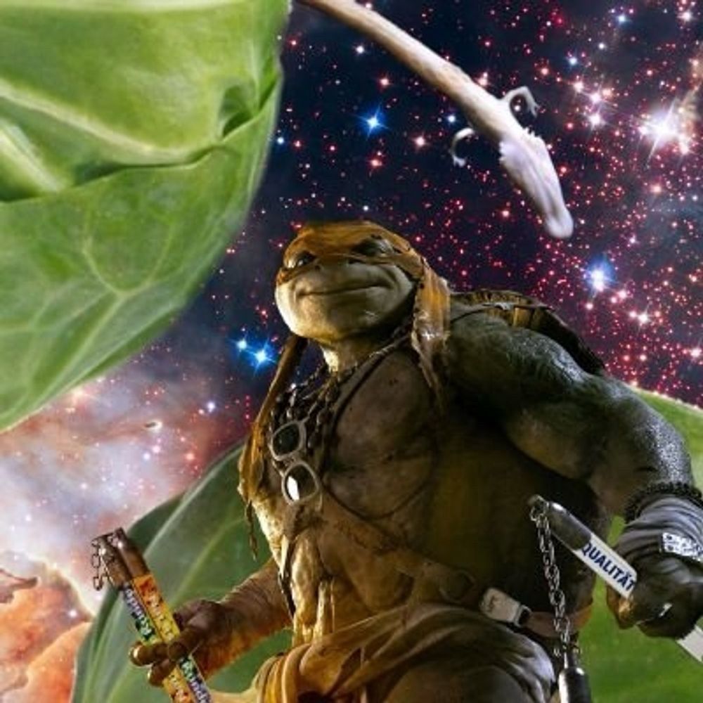 Herr Dr Dr S. Helfenberger