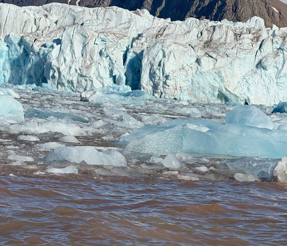 the new icebergs themselves are an intense blue, the water is choked with ice as the glacier gives up some of its girth