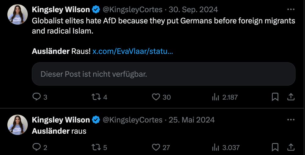 Kingsley Wilson: "Globalist elites hate AfD because they put Germans before foreign migrants and radical Islam Ausländer raus!"
"Ausländer raus"