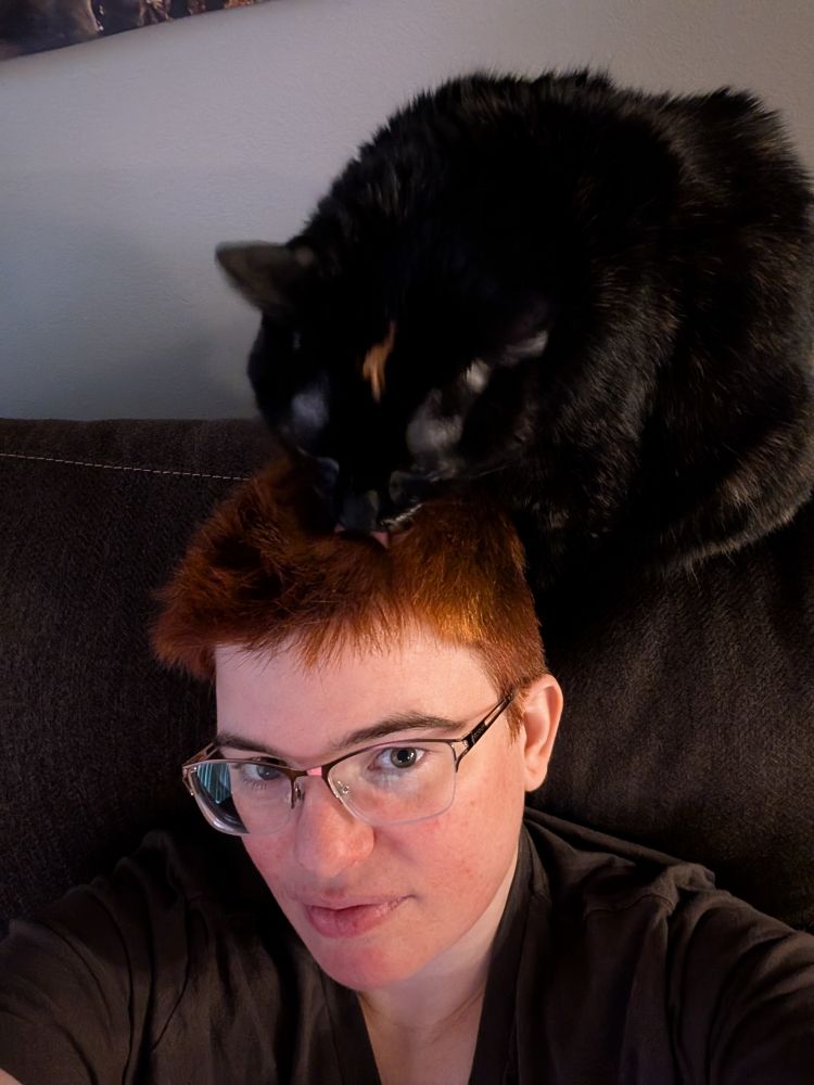A cat named Harriet perched on the head of a couch licking her owners hair