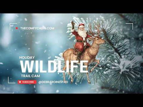 Holiday Wildlife Trail Cam