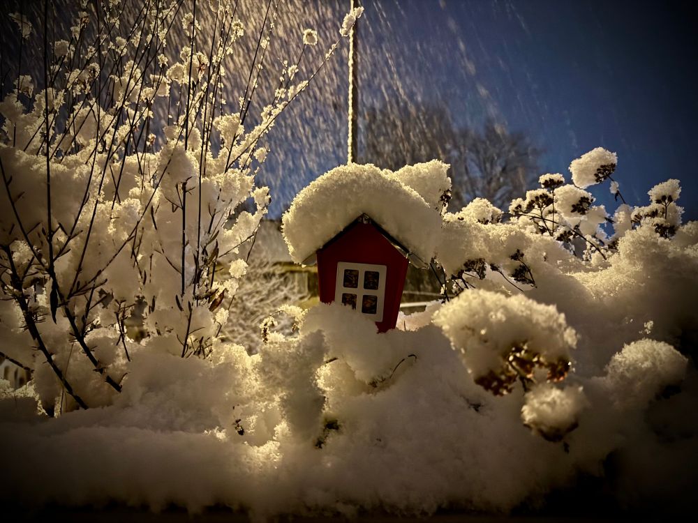 Das Foto zeigt eine kleine, rote Vogelhaus-Attrappe mit weißen Fenstern, das unter einer dicken Schneeschicht inmitten von mit Schnee bedeckten Ästen und Zweigen steht. Im Hintergrund fällt dichter Schnee durch die nächtliche Dunkelheit, von einer Straßenlaterne in warmem Licht beleuchtet. Der Eindruck ist frostig und ruhig, fast märchenhaft – die Szene erinnert an einen stillen Winterabend, bei dem das Rot des Häuschens einen Farbtupfer in der sonst verschneiten, dunklen Umgebung setzt.