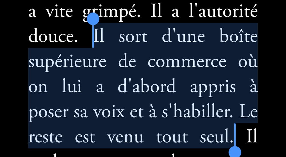 Extrait du roman « au bonheur des ogres » de Daniel Pennac 