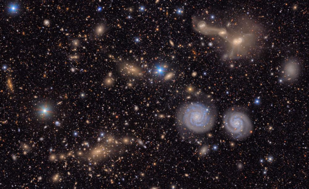 A dark starfield is covered in galaxies. Many of them are surrounded by a faint halo of light - two blue spirals in the bottom right stand out. 