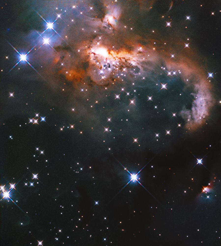 The Snowman Nebula, an emission nebula in the constellation Puppis, showcasing bright gas and dark dust knots. Credit: NASA; ESA; J. Tan (Chalmers University of Technology); Gladys Kober (NASA/Catholic University of America)