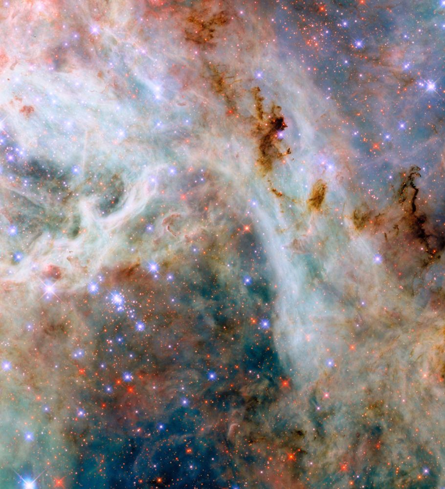 A colorful portion of the Tarantula Nebula, featuring swirling gas clouds and dark dust with bright stars scattered throughout. Credit: ESA/Hubble & NASA, C. Murray