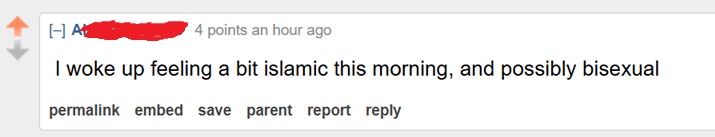 Screen cap from Reddit, a reply to the feedback already seen from the Mamdani win in NYC. The poster responds sarcastically by saying "I woke up feeling a bit islamic this morning, and possibly bisexual."