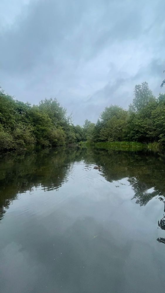 An empty pond for once 