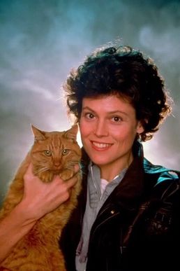 The ginger cat Jones in the arms of Ellen Ripley