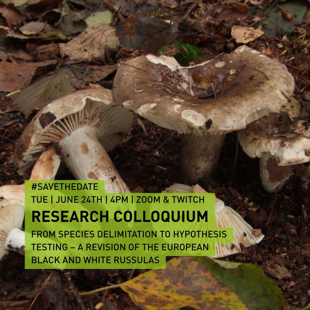 Light brown mushrooms on the forest floor, plus information about the event.