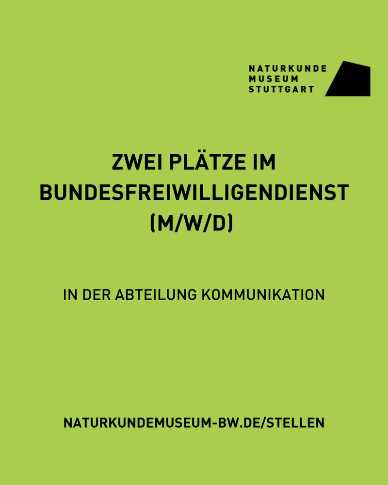 Titel der Stellenausschreibung auf grünem Untergrund.