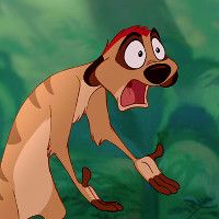 Timon from the Lion King in disbelief
