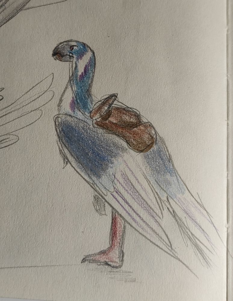 Boceto coloreado tomando de referencia los colores de una paloma doméstica. Se represent un dinosaurio terópodo especulativo de grandes alas emplumado.