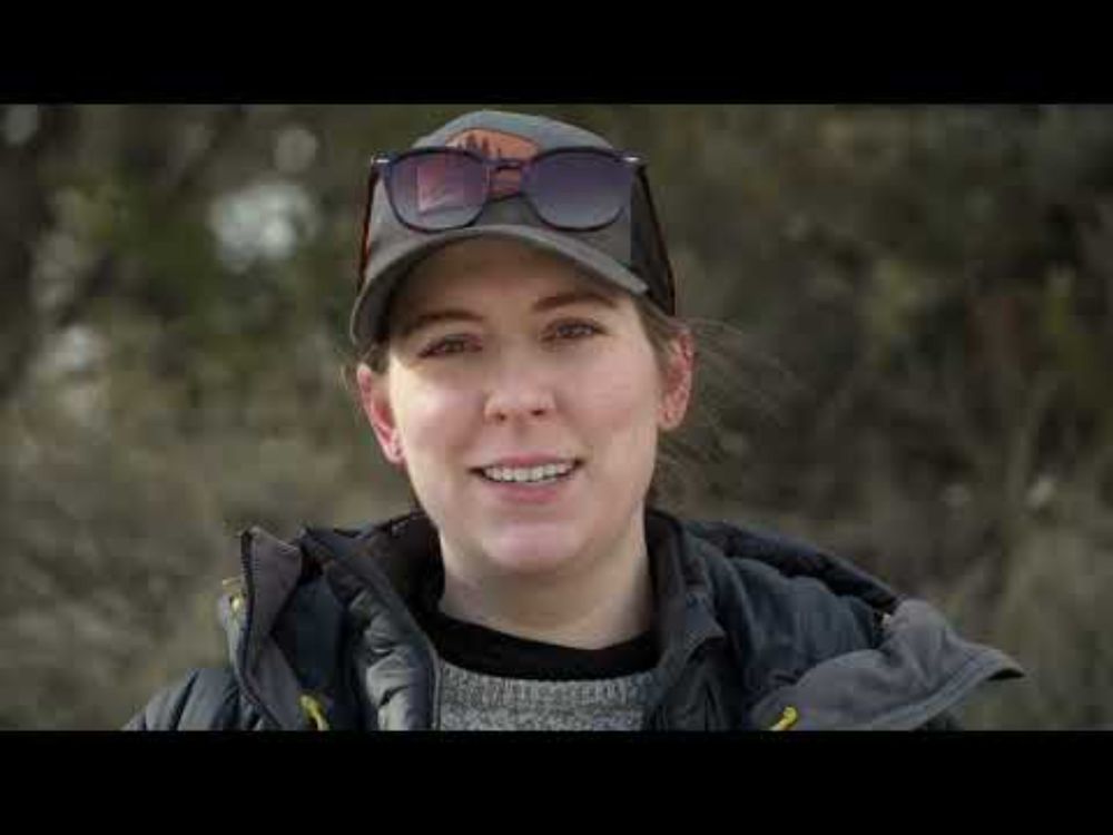 A Bridge For Bighorns 2025 HD 1080p