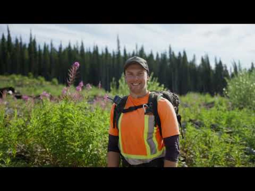 Caribou Habitat Restoration: Using Visual Screening in Road Restoration