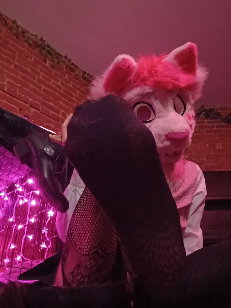 A pink catboy fursuiter dangling a heel off his finger, while showing his foot off for the camera!