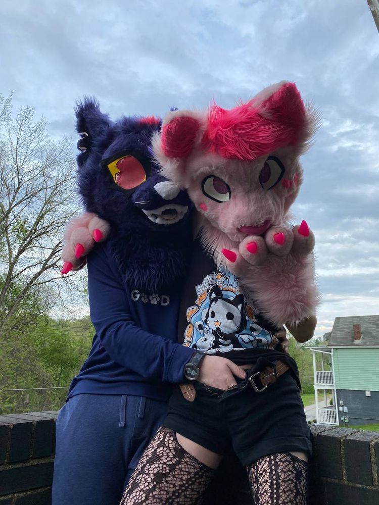 Two kitty partial-fursuiters, with the dark-furred one reaching into the unbuckled shorts of the pink-furred one!