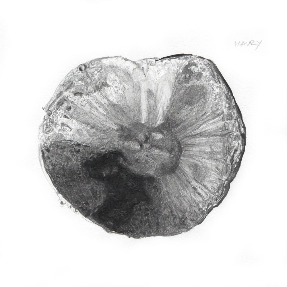 A black and white pencil drawing of a Moon crater on a white background 
