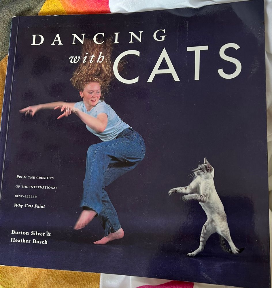 Dancing With Cats – “from the creators of the international bestseller Why Cats Paint,” Burton Silver & Heather Busch