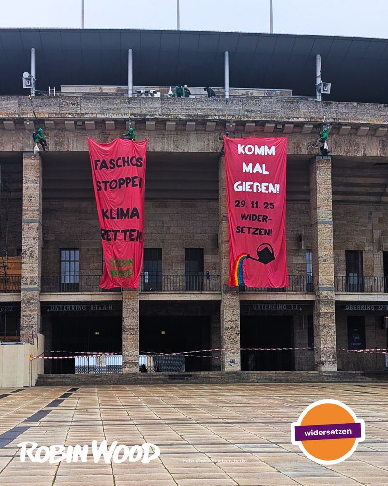 Aktionsfoto Kletterlis mit riesigen Bannern vom Berliner Olympiastadion herab: "Faschos stoppen, Klima retten!" + "Komm mal Gießen! 29.11.2025 widersetzen!" am Berliner Olympiastadion, Logos widersetzen und ROBIN WOOD