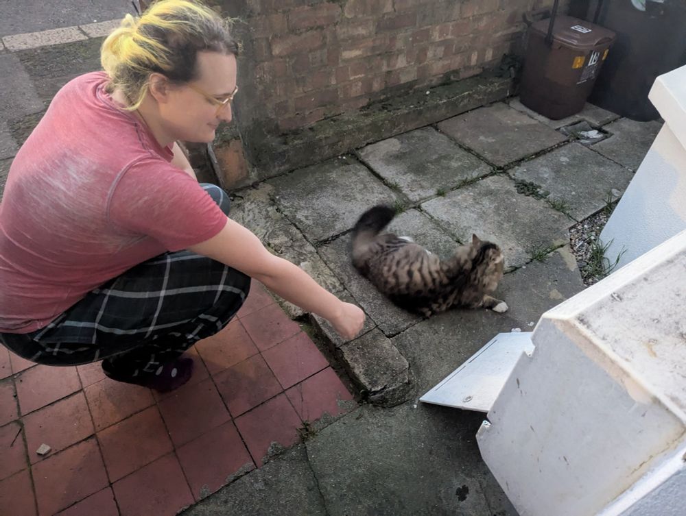 person in pyjamas with yellow hair gently reaching out to a long hair cat with brown fur and little white paws, outdoors