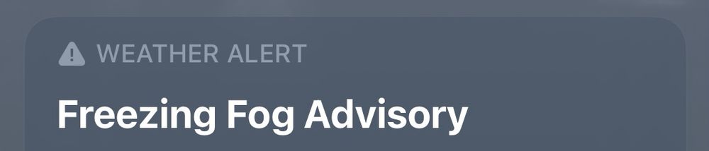 screenshot from my weather app this morning that reads: 

⚠️ WEATHER ALERT 

Freezing Fog Advisory 