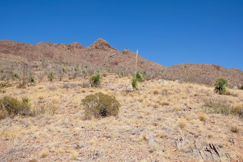 Achenbach Canyon landscape